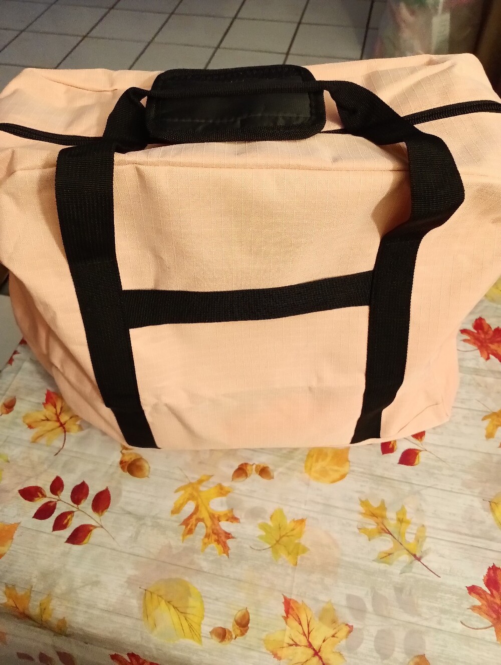 Travel Bag Bundle 12x16 Pink and Black Canvas NWOT 14 Items Plus Bag